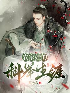农家子科举的小说